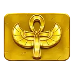 icon 4