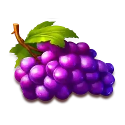 icon 6