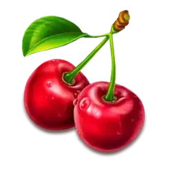 icon 9