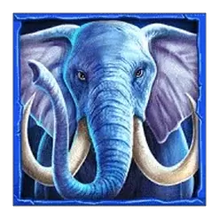 icon 3