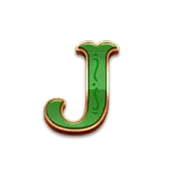 icon 11