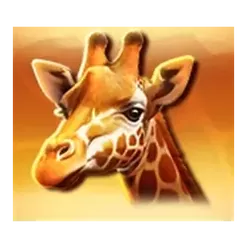 icon 3