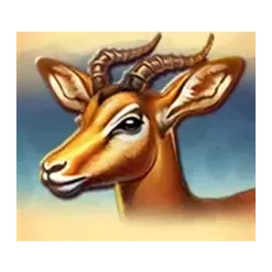 icon 5