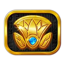 icon 5