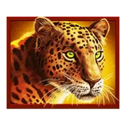 icon 3