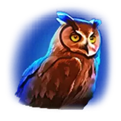 icon 6