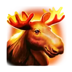 icon 3