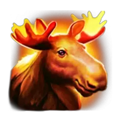 icon 3