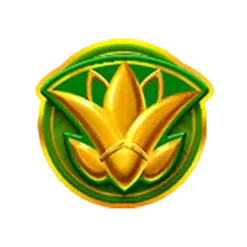 icon 4