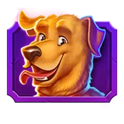 icon 2