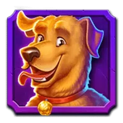 icon 3