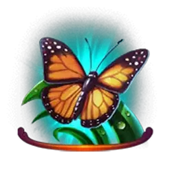 icon 4
