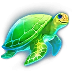 icon 3