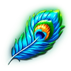 icon 6