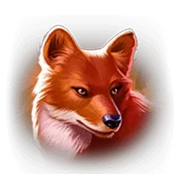 icon 6