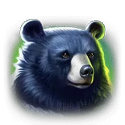 icon 4