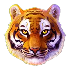 icon 10
