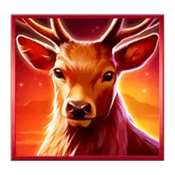 icon 3