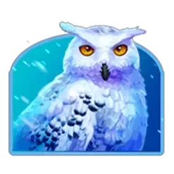 icon 4
