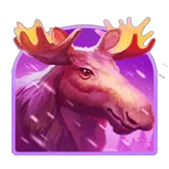 icon 2