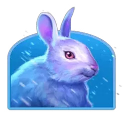 icon 5