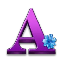 icon 6