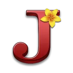 icon 9