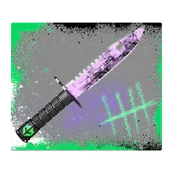 icon 9
