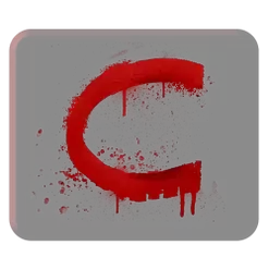 icon 13