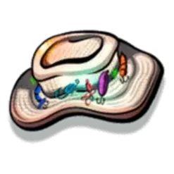 icon 6