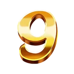 icon 10