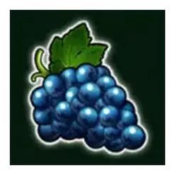 icon 5