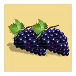 icon 5