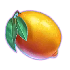 icon 6