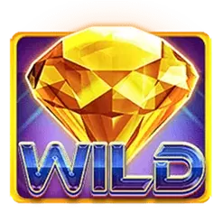 icon 9