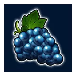 icon 4