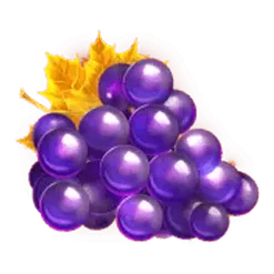 icon 4