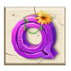 icon 9
