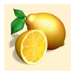 icon 5