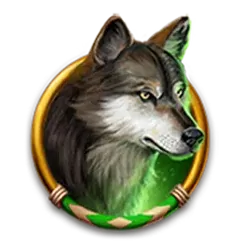 icon 4