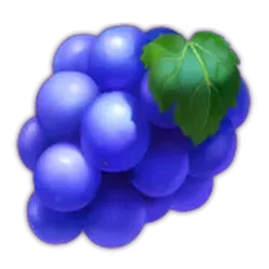 icon 4