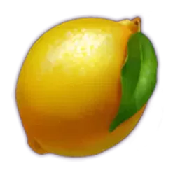 icon 5