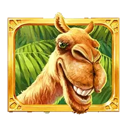 icon 3
