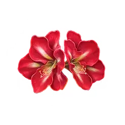 icon 2