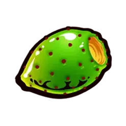 icon 6