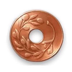 icon 6
