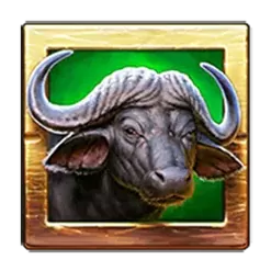 icon 4