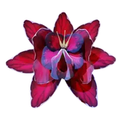 icon 9