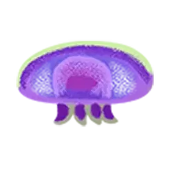 icon 6