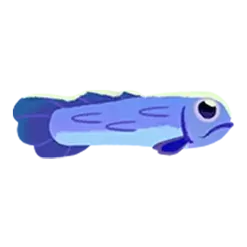 icon 4